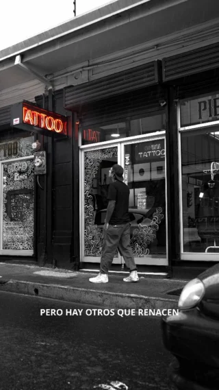 Incluso en la oscuridad mas profunda, puede surgir la luz. 💫
Hay lugares que mueren, mientras que otros renacen!
Bienvenidos a armageddon una luz en la agitada ciudad de San Jose. 🏫☄️
www.costaricatattoo.com
.
.
.
#tattoocostarica #armageddontattoo #armageddonink